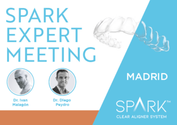 Spark Expert Meeting – Madrid